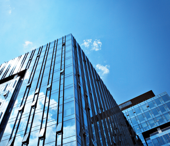 Helping progressive businesses build, evolve & scale since 2005