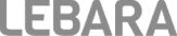 Lebara logo success story